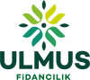 Ulmus Fidancılık